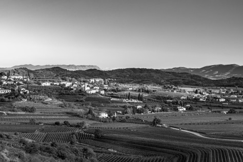 Guida pratica al Collio