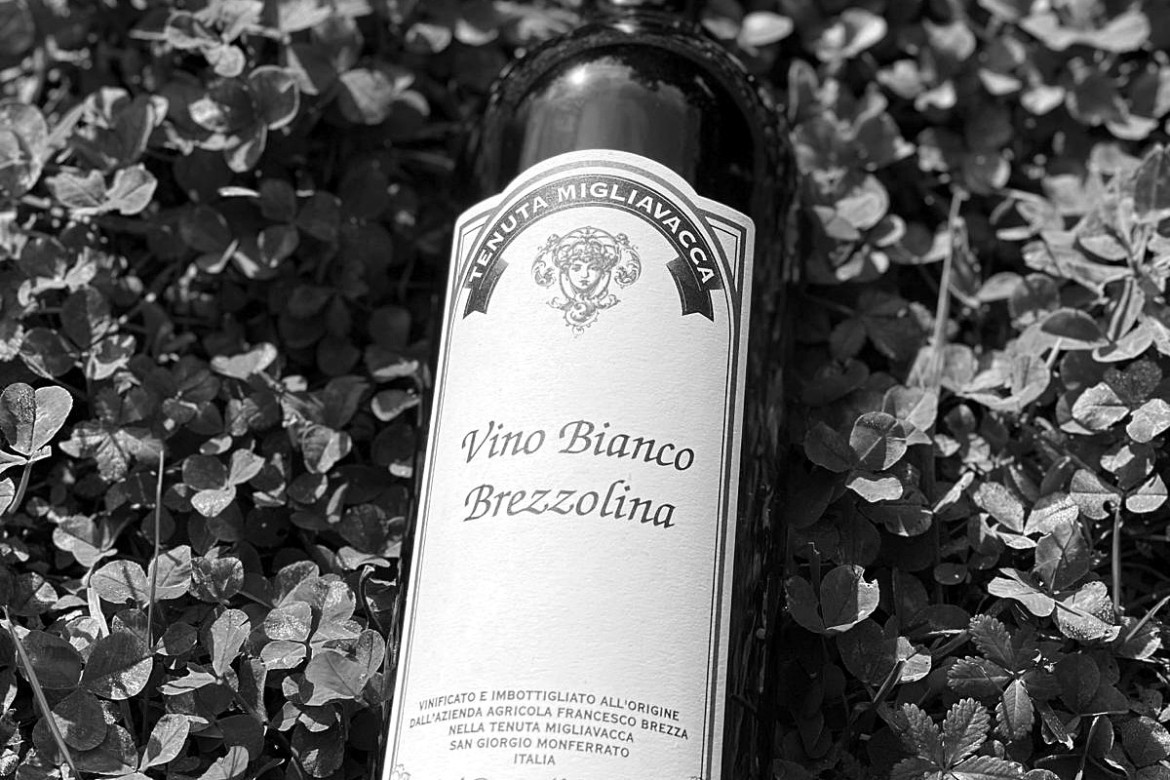 È arrivata la Brezzolina di Tenuta Migliavacca!
