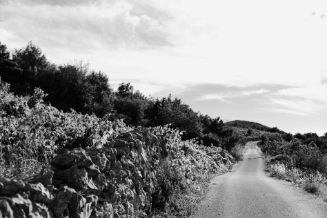 Vinas Mora: vini del mare figli della roccia - Capitolo I