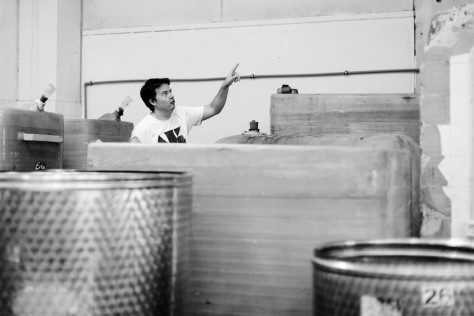 Vinas Mora: vini del mare figli della roccia - Capitolo II