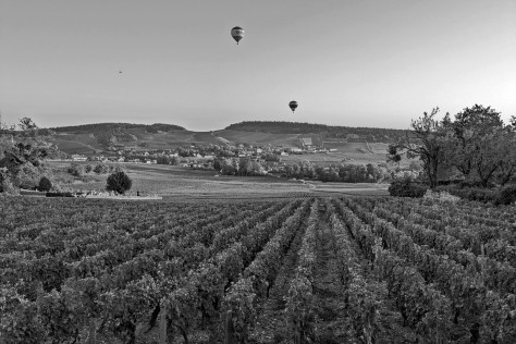 Domaine de la Monette: un ritratto della Cote Chalonnaise