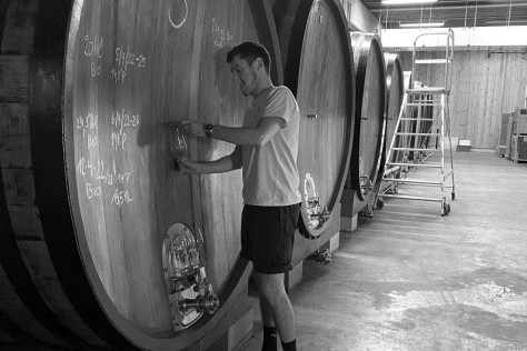Lambic: un viaggio nei birrifici che hanno fatto la storia belga