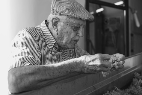 La cantina Emidio Pepe: una storia di lungimiranza, coraggio e avanguardia