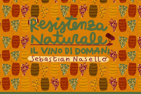 Sebastian Nasello | Enologo e vignaiolo di Podere Le Ripi