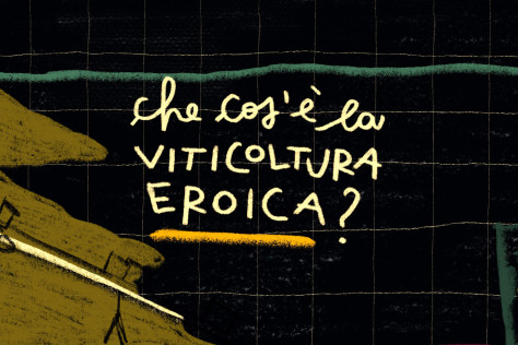 Che cos’è la viticoltura eroica?