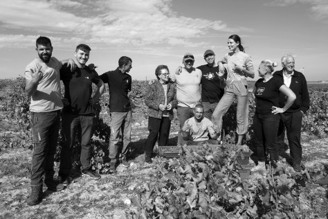 Microbio Wines: “Esta es nuestra Tierra... nuestra vida!”
