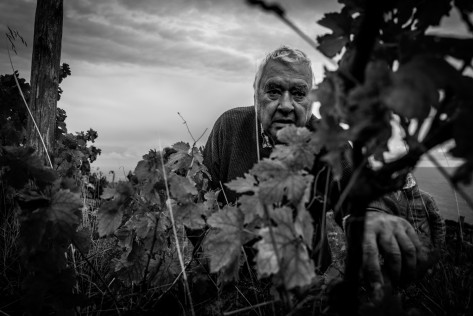 Zoom: Francesco Carfagna, il vignaiolo di Altura