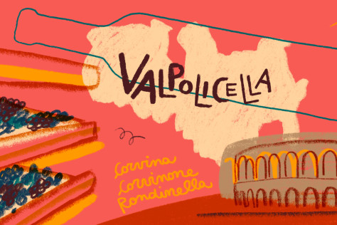 Guida al Valpolicella DOC: l'arte dell'incontro tra Corvina, Rondinella e Corvinone