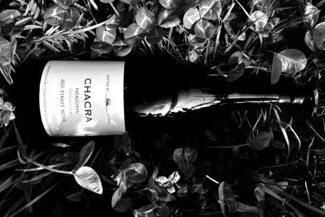 A proposito di vini unicorno: Il Treinta y Dos di Bodega Chacra
