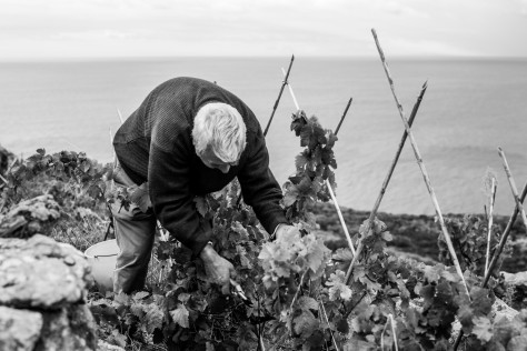 Ansonaco, un elogio al mare, al caos e all’Isola del Giglio