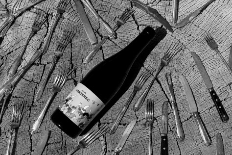 La rivoluzione partendo dalla tavola: Forks and Knives di Milan Nestarec